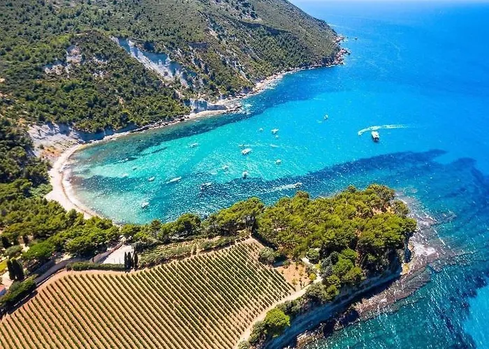 Sea Vue Mer Appartement